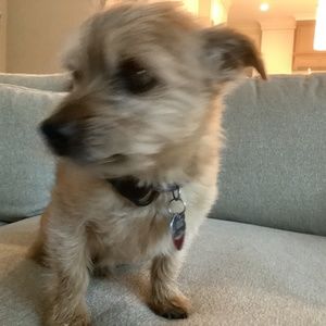 Meet your Posher, Katherine